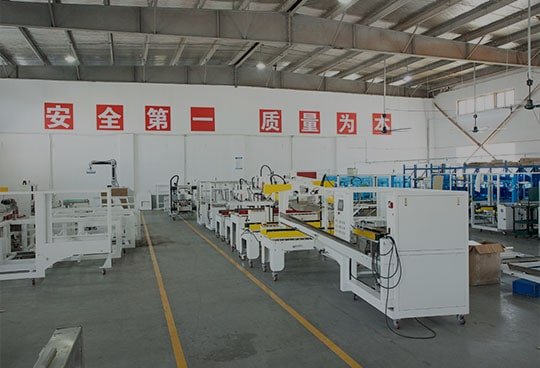 Carton Sealer Factory